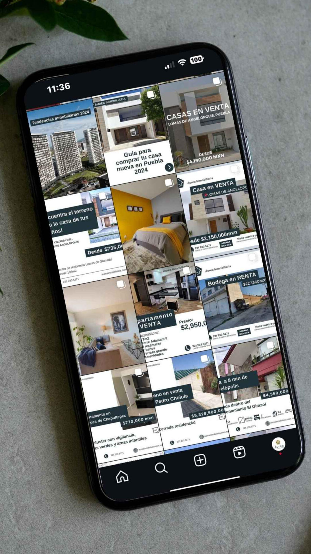 Aurea Inmobiliaria Mockup