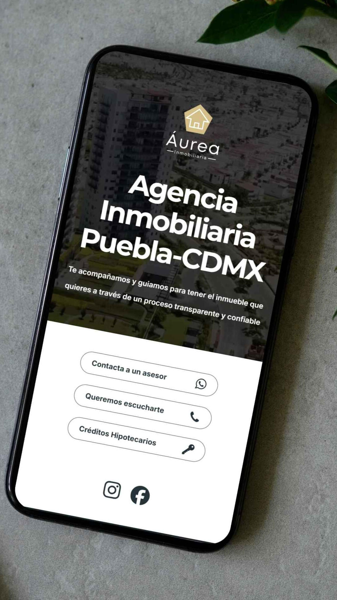aurea inmobiliaria instagram 2025
