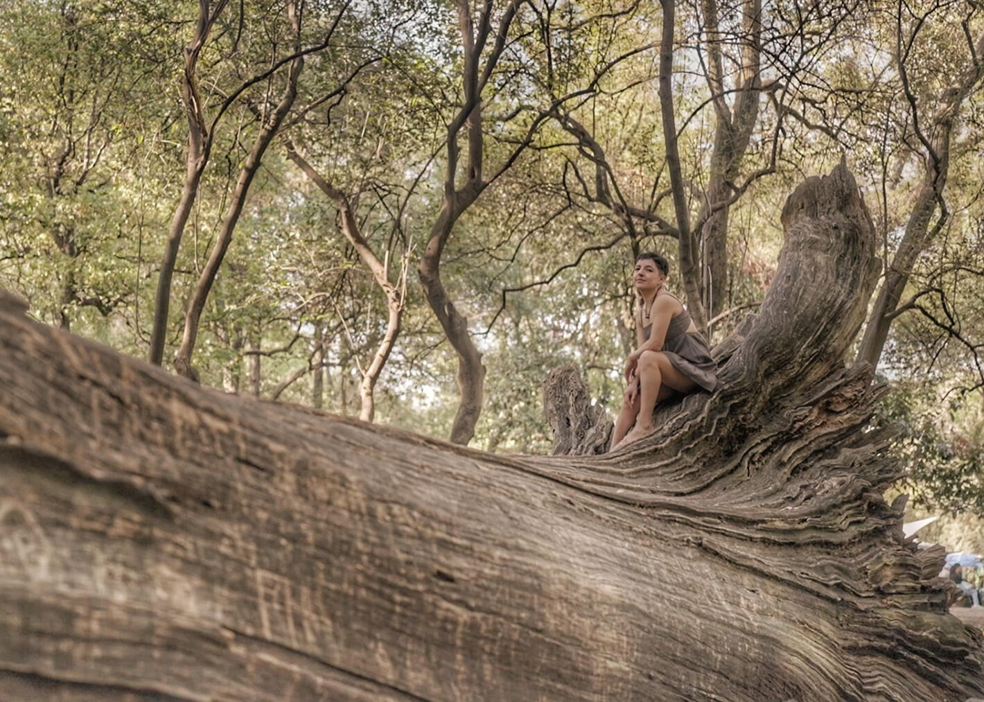 Dyann Ibarguen 2025 CDMX