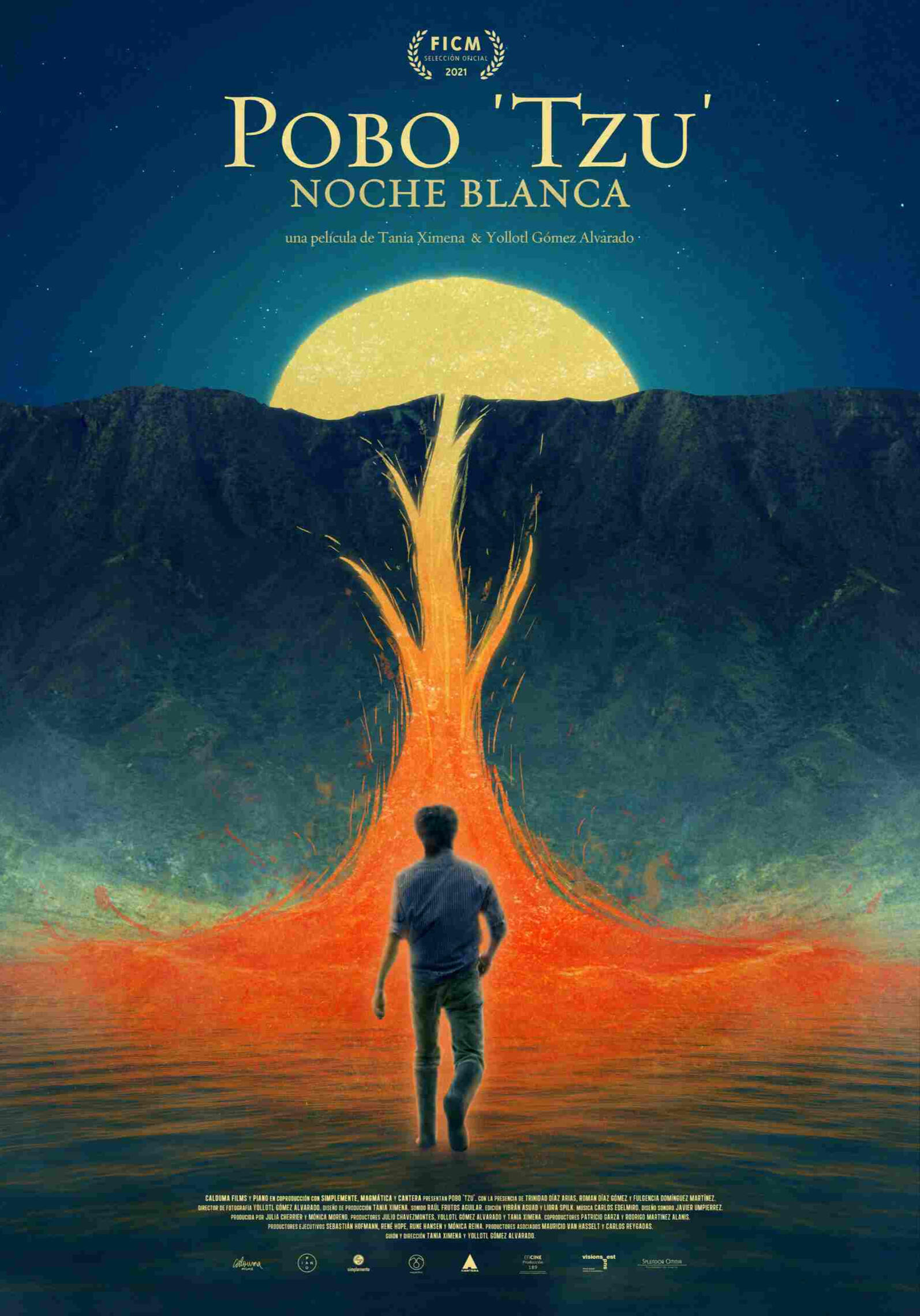 Pobo Tzu White Night Poster