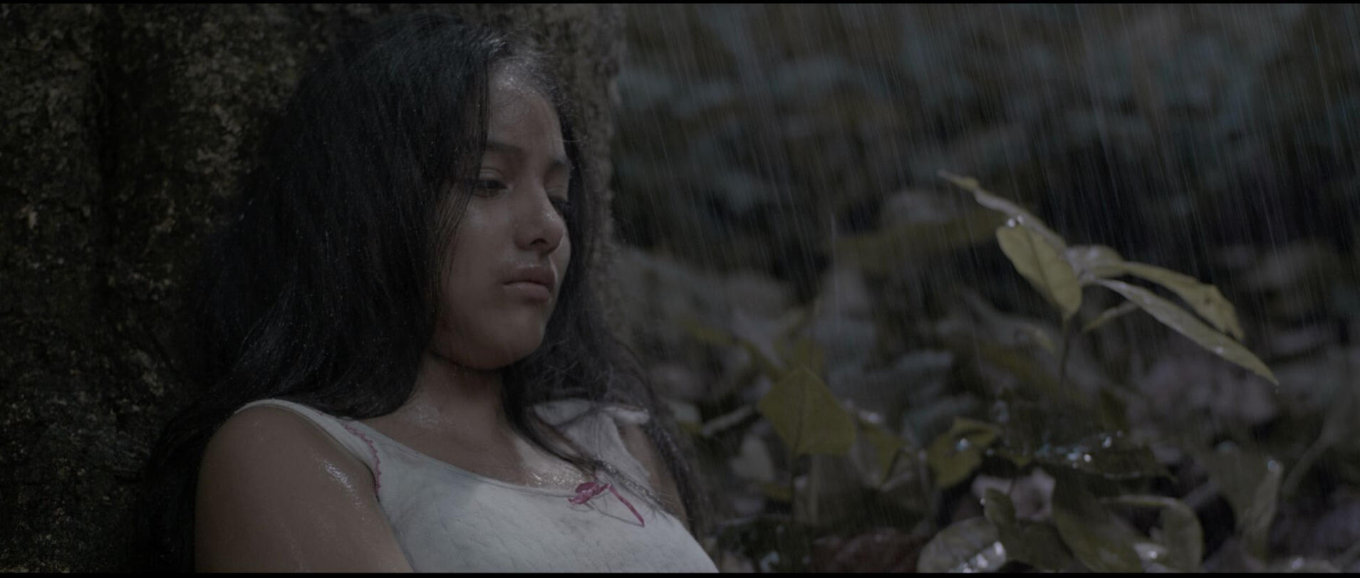 The weeping of the cacao tree short film Mexico