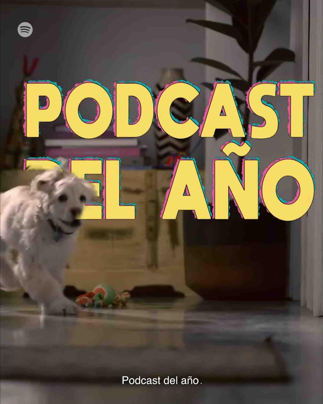 Spotify Awards 2020 4